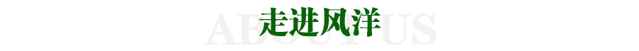�L���w��